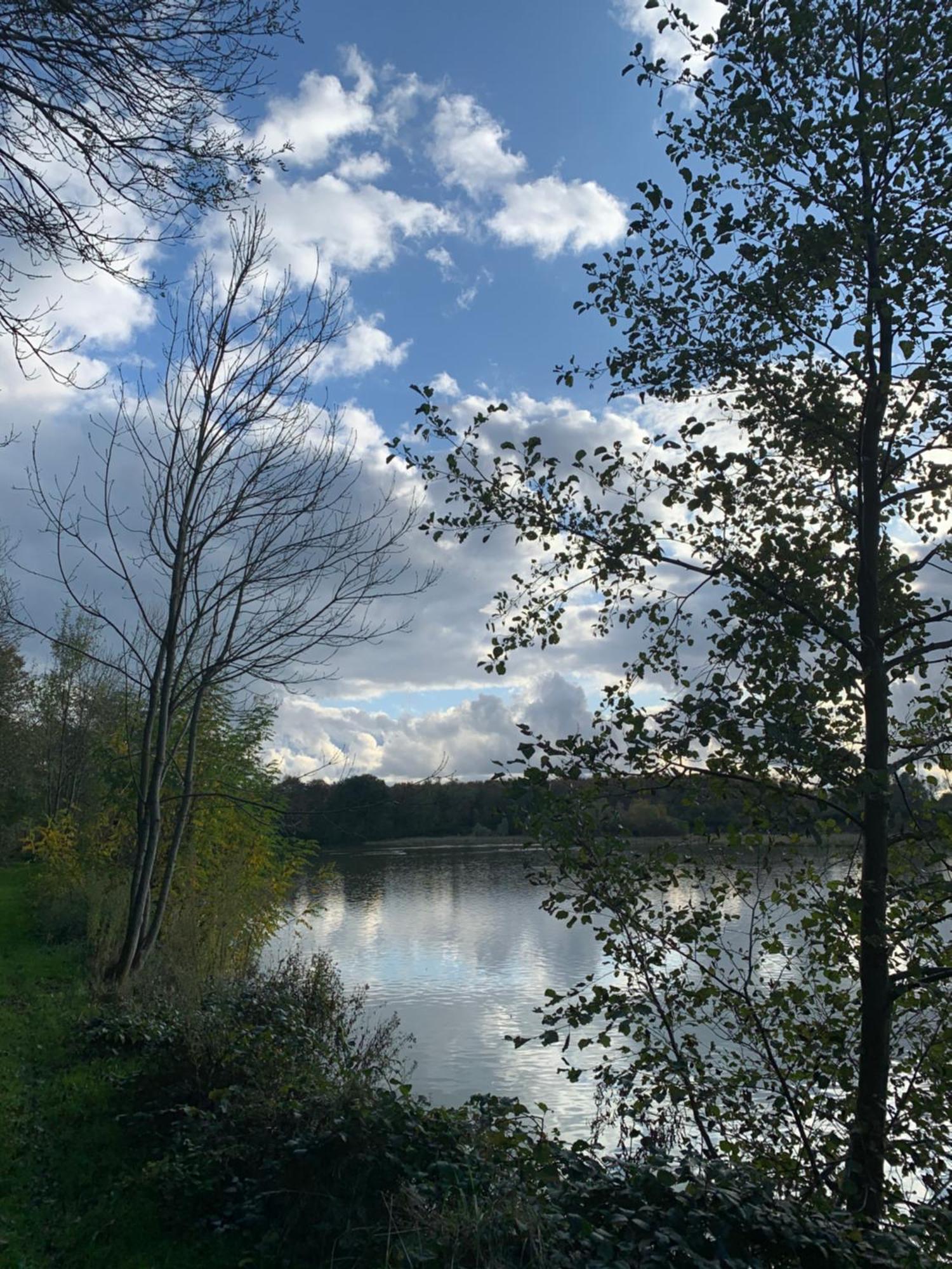 Le Domaine Du Pin Bed & Breakfast Châtillon-sur-Chalaronne Dış mekan fotoğraf