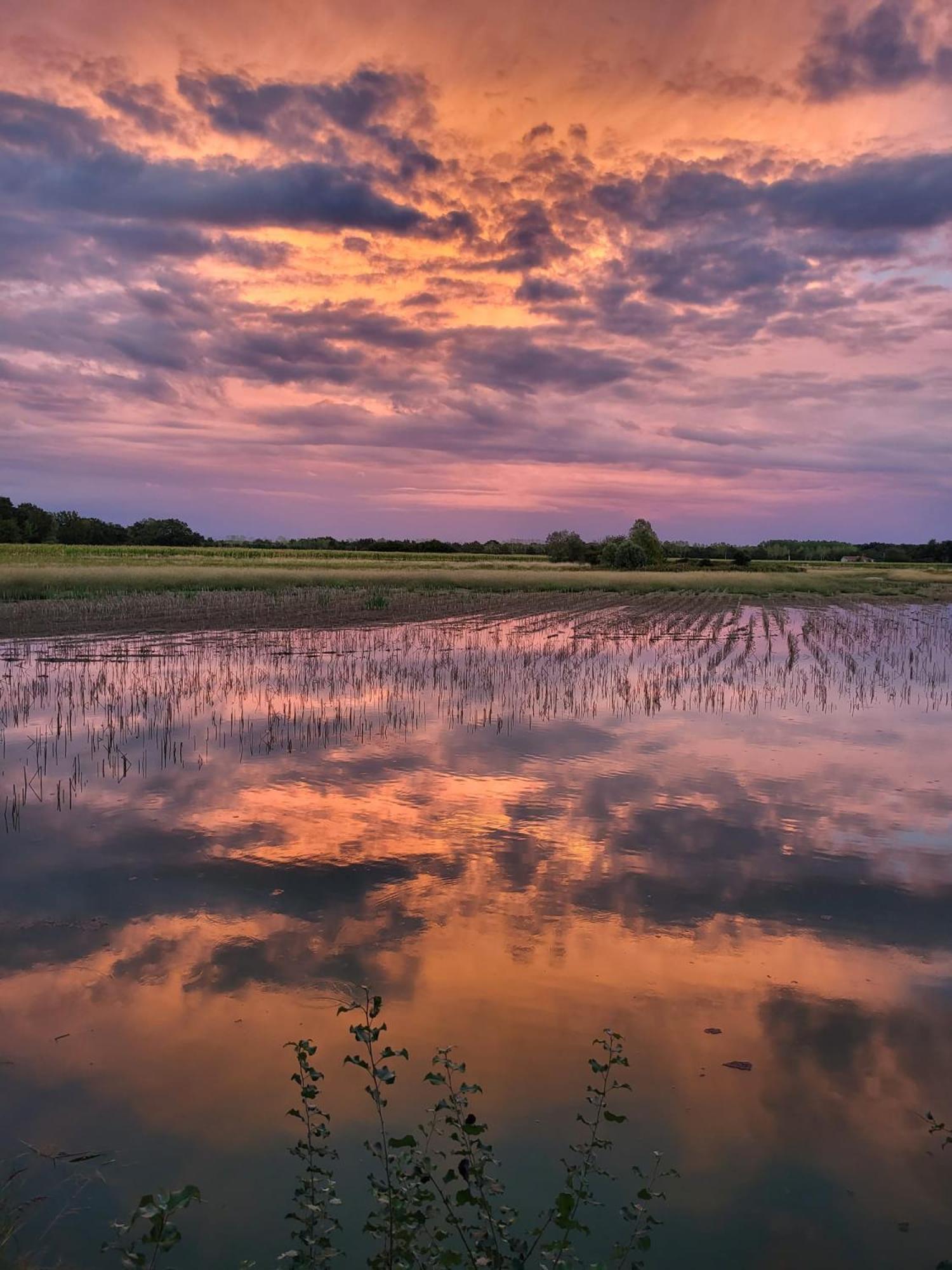 Le Domaine Du Pin Bed & Breakfast Châtillon-sur-Chalaronne Dış mekan fotoğraf