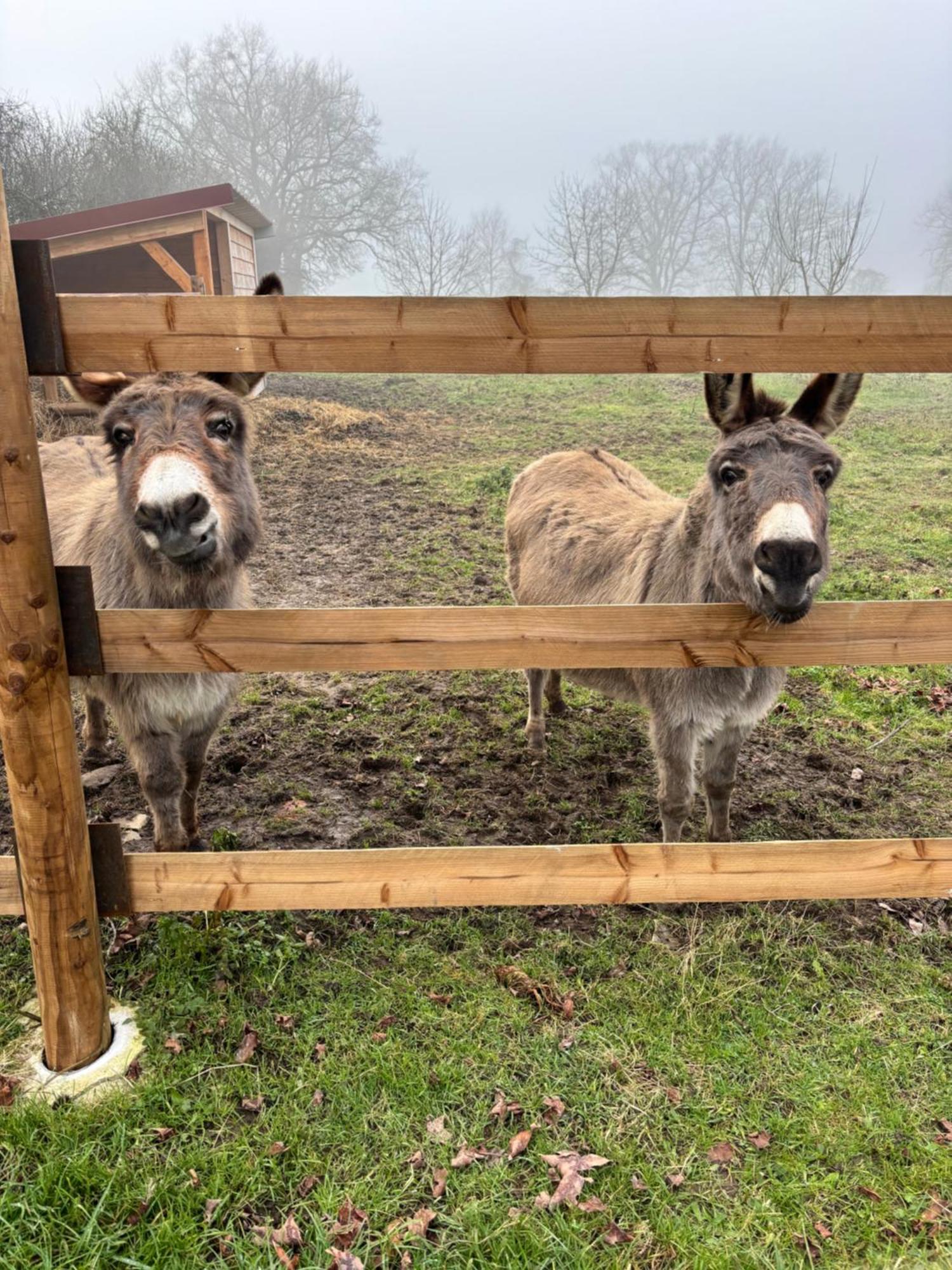 Le Domaine Du Pin Bed & Breakfast Châtillon-sur-Chalaronne Dış mekan fotoğraf